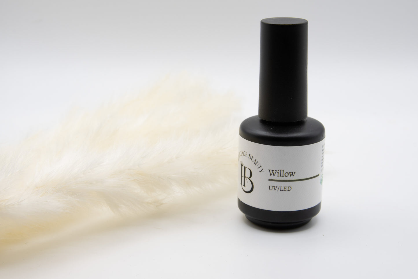Willow